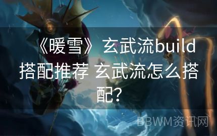 《暖雪》玄武流build搭配推荐 玄武流怎么搭配？