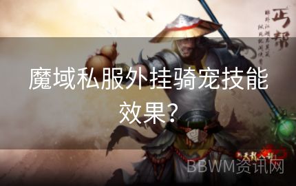 魔域私服外挂骑宠技能效果？