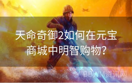 天命奇御2如何在元宝商城中明智购物？