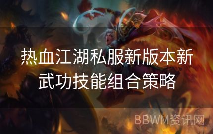 热血江湖私服新版本新武功技能组合策略