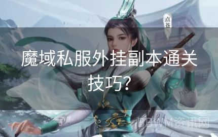 魔域私服外挂副本通关技巧？