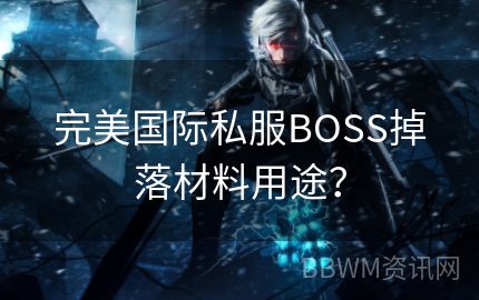 完美国际私服BOSS掉落材料用途？