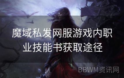 魔域私发网服游戏内职业技能书获取途径