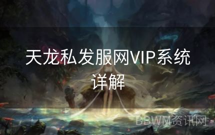 天龙私发服网VIP系统详解