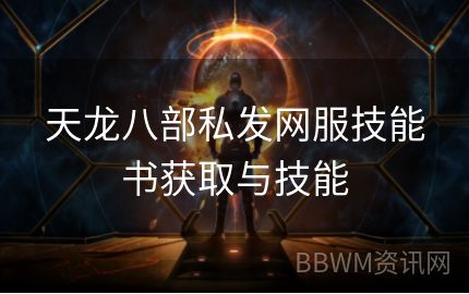 天龙八部私发网服技能书获取与技能