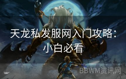 天龙私发服网入门攻略：小白必看