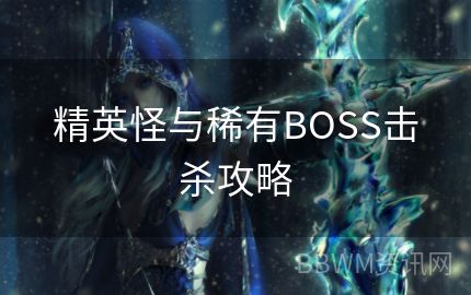 精英怪与稀有BOSS击杀攻略