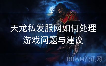 天龙私发服网如何处理游戏问题与建议